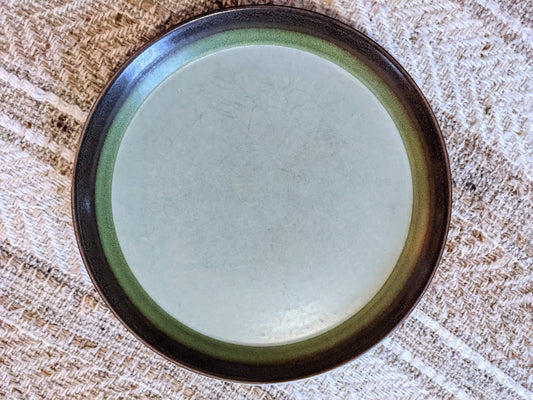 The Mikasa Sahara Stoneware Plates