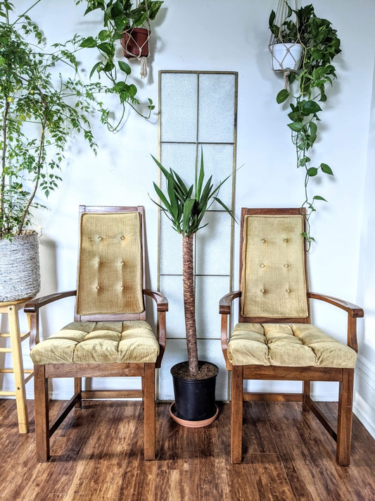 The Mod Squad Chairs