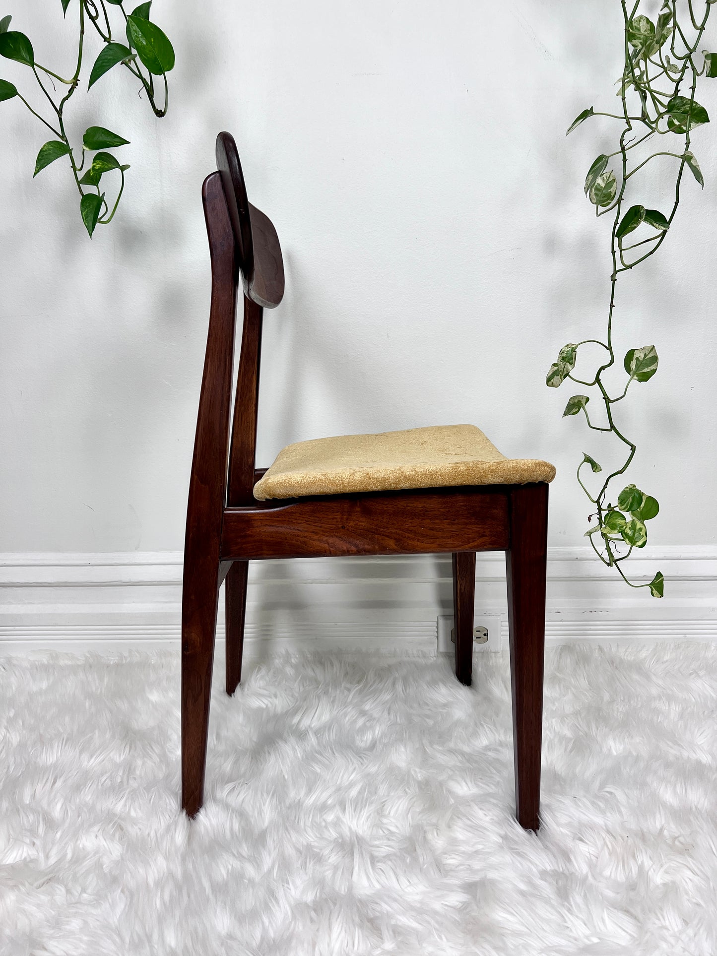 The Valmar Chairs