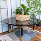The Dark Star Coffee Table
