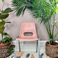 The Pink Flamingo Chairs