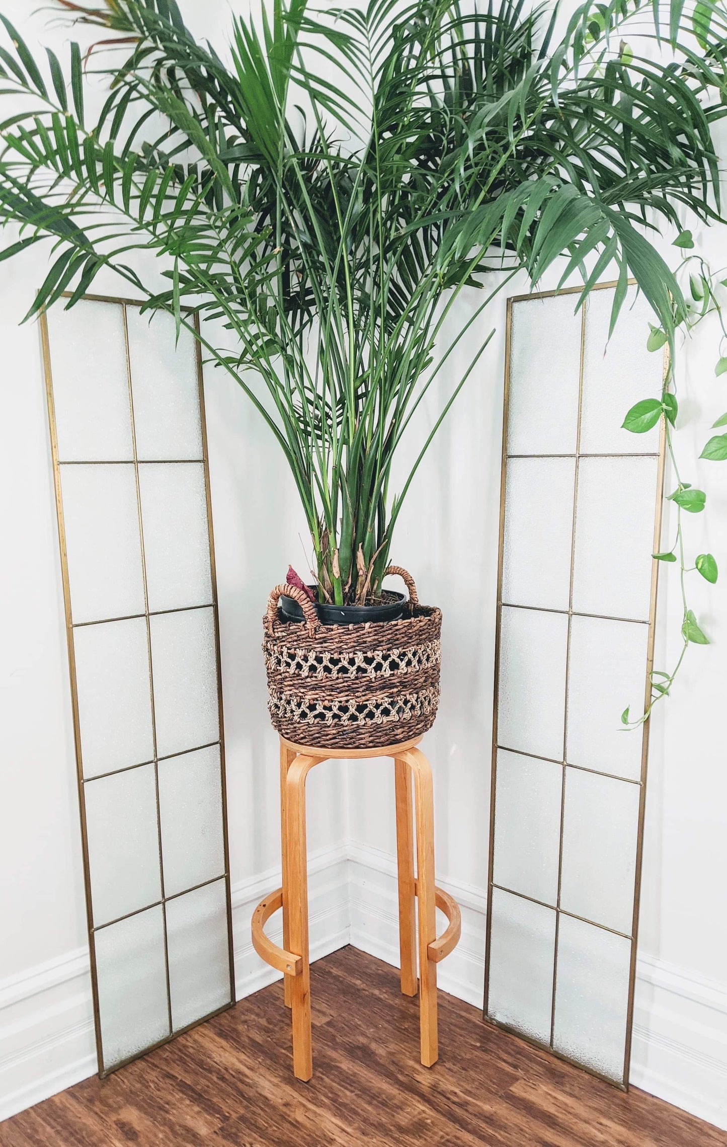 The Bento Plant Stand/Stool