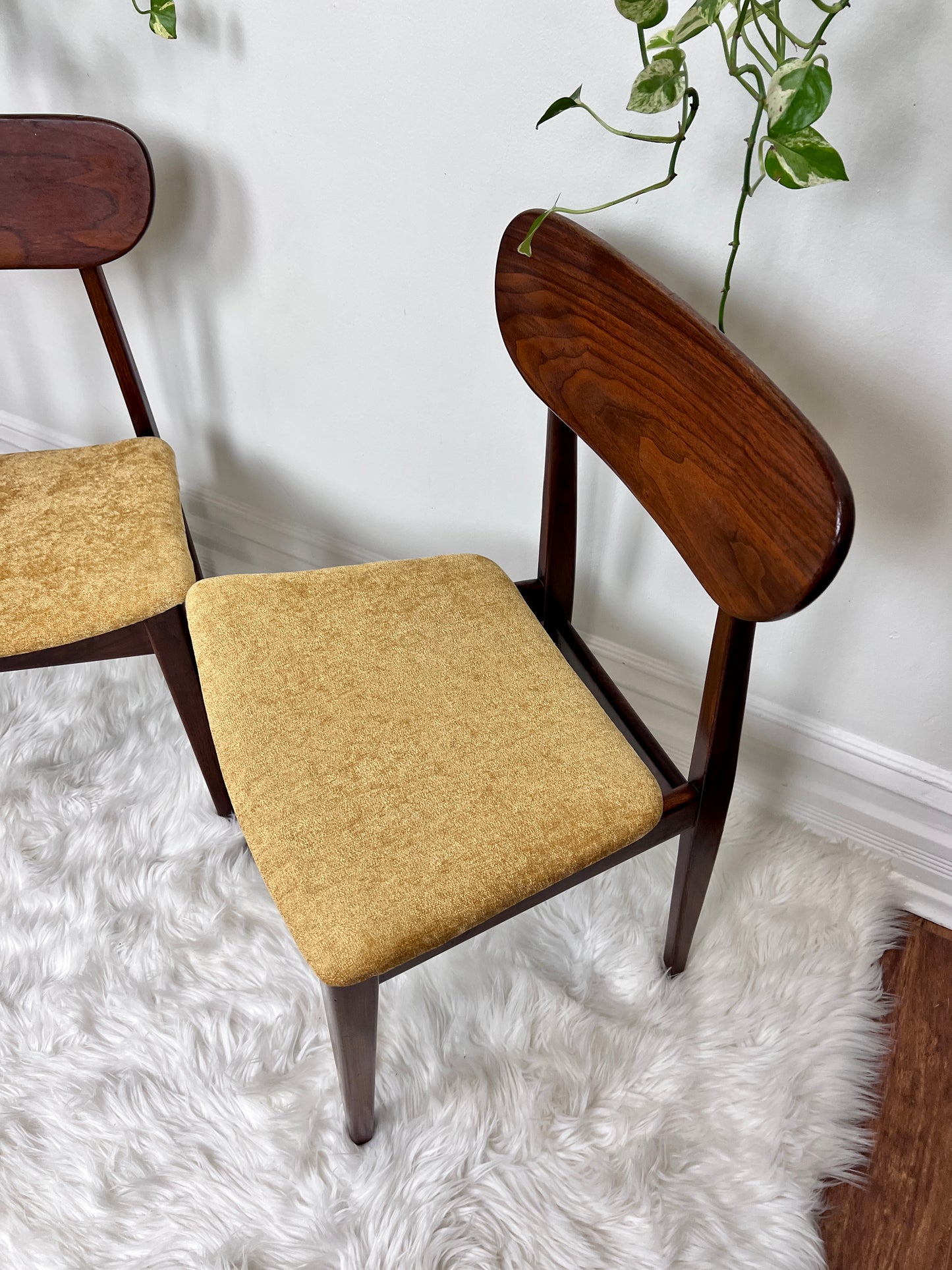 The Valmar Chairs