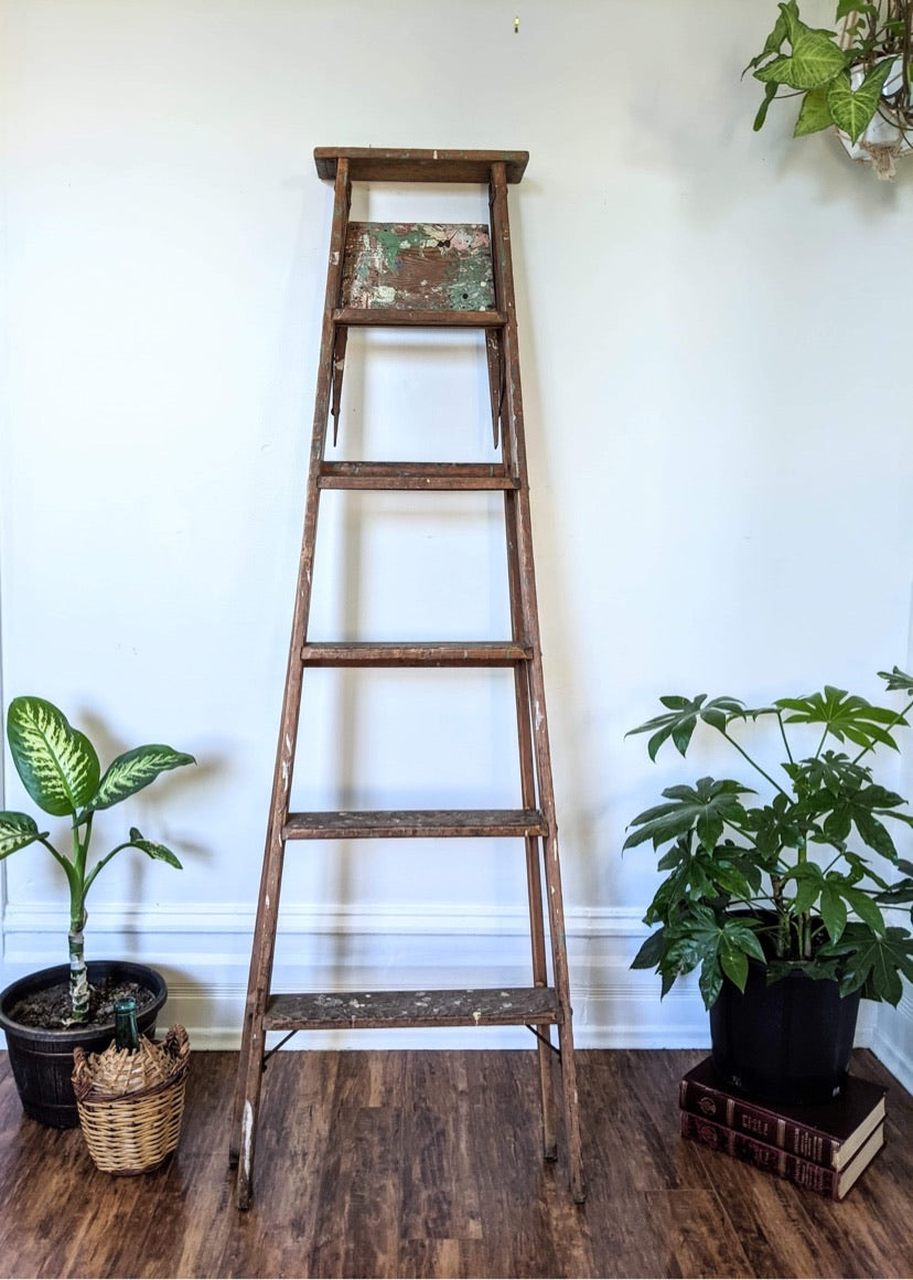 It’s A Ladder Shelf!