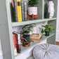 The Sage Green Shelf