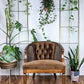 The Abner Chair