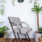 The Saturn Chairs