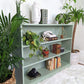 The Spanish Moss Shelf