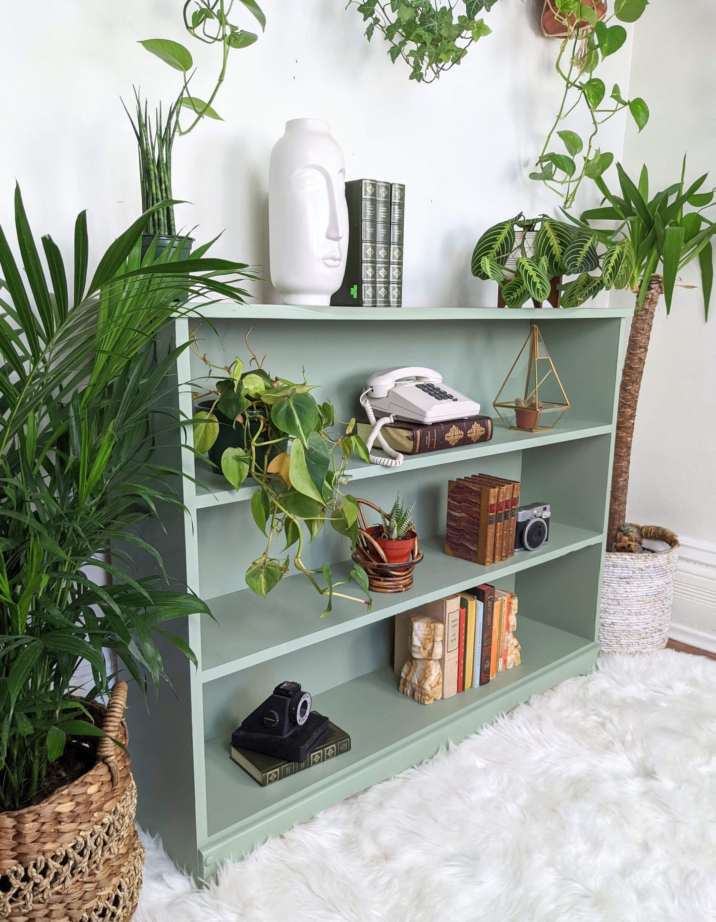 The Spanish Moss Shelf