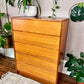 The Aleksander Teak Dresser