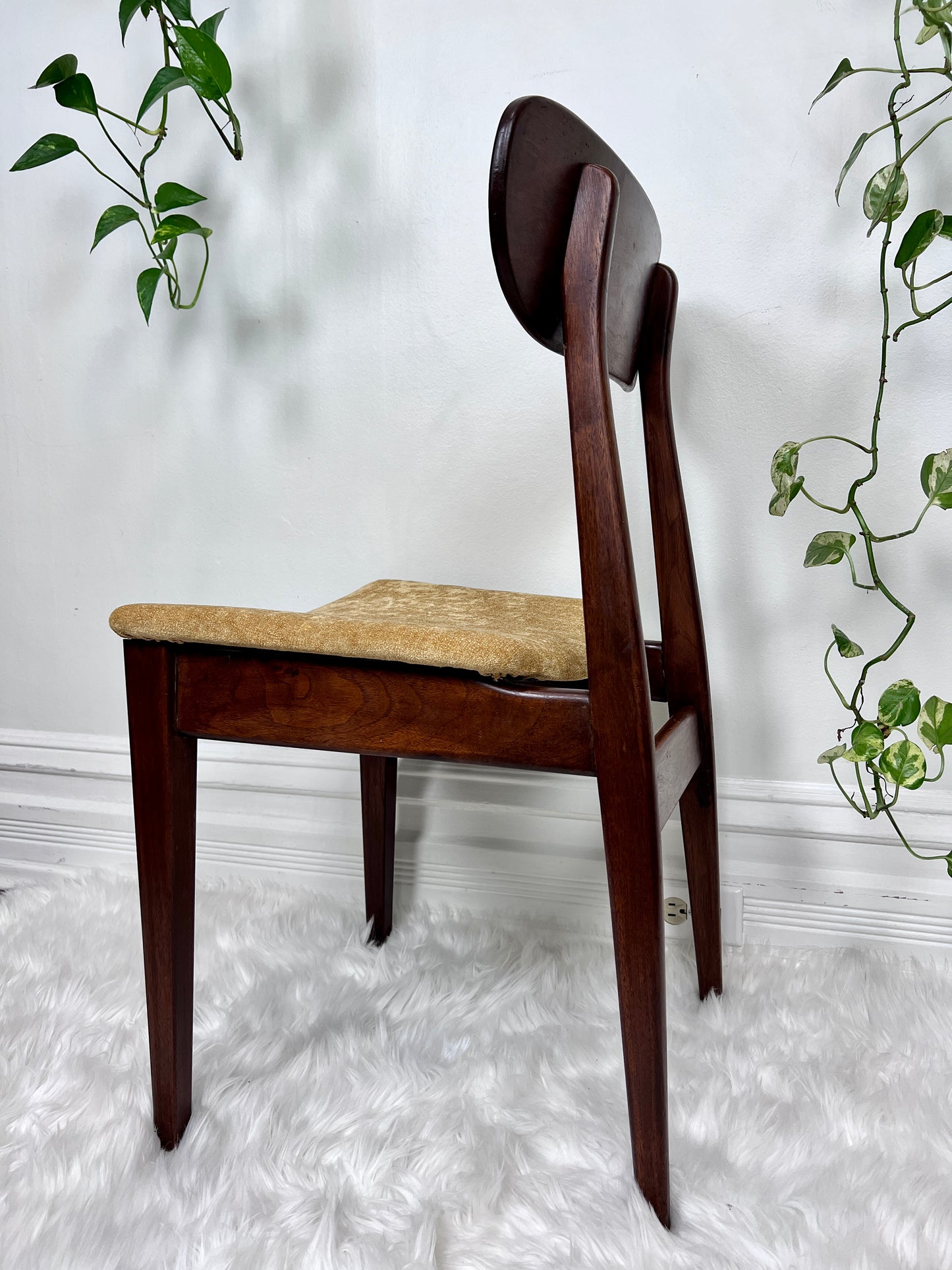 The Valmar Chairs