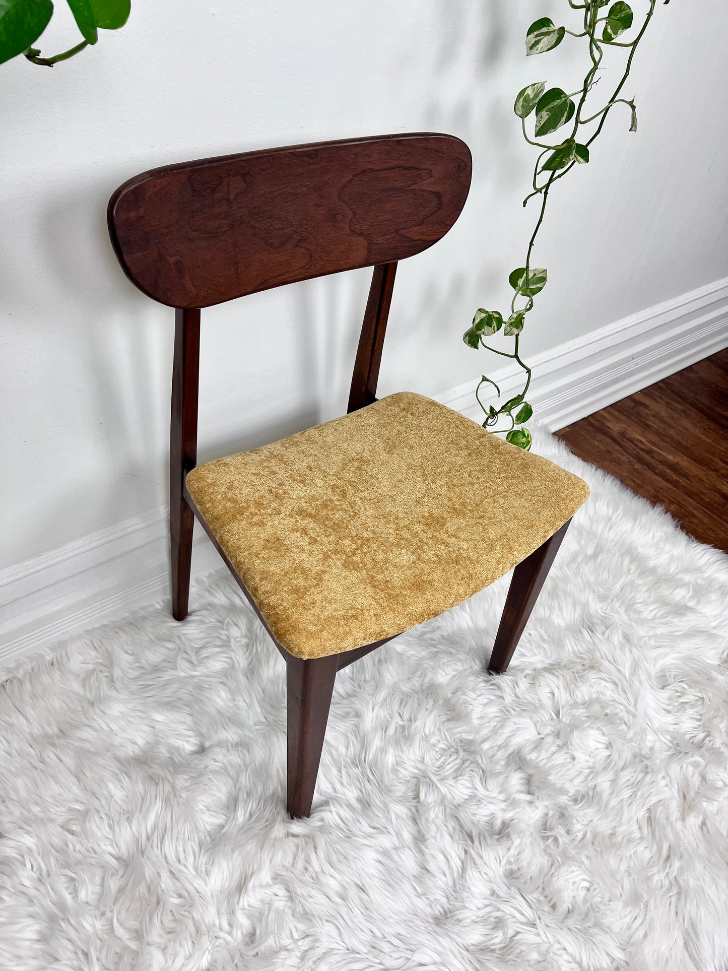 The Valmar Chairs