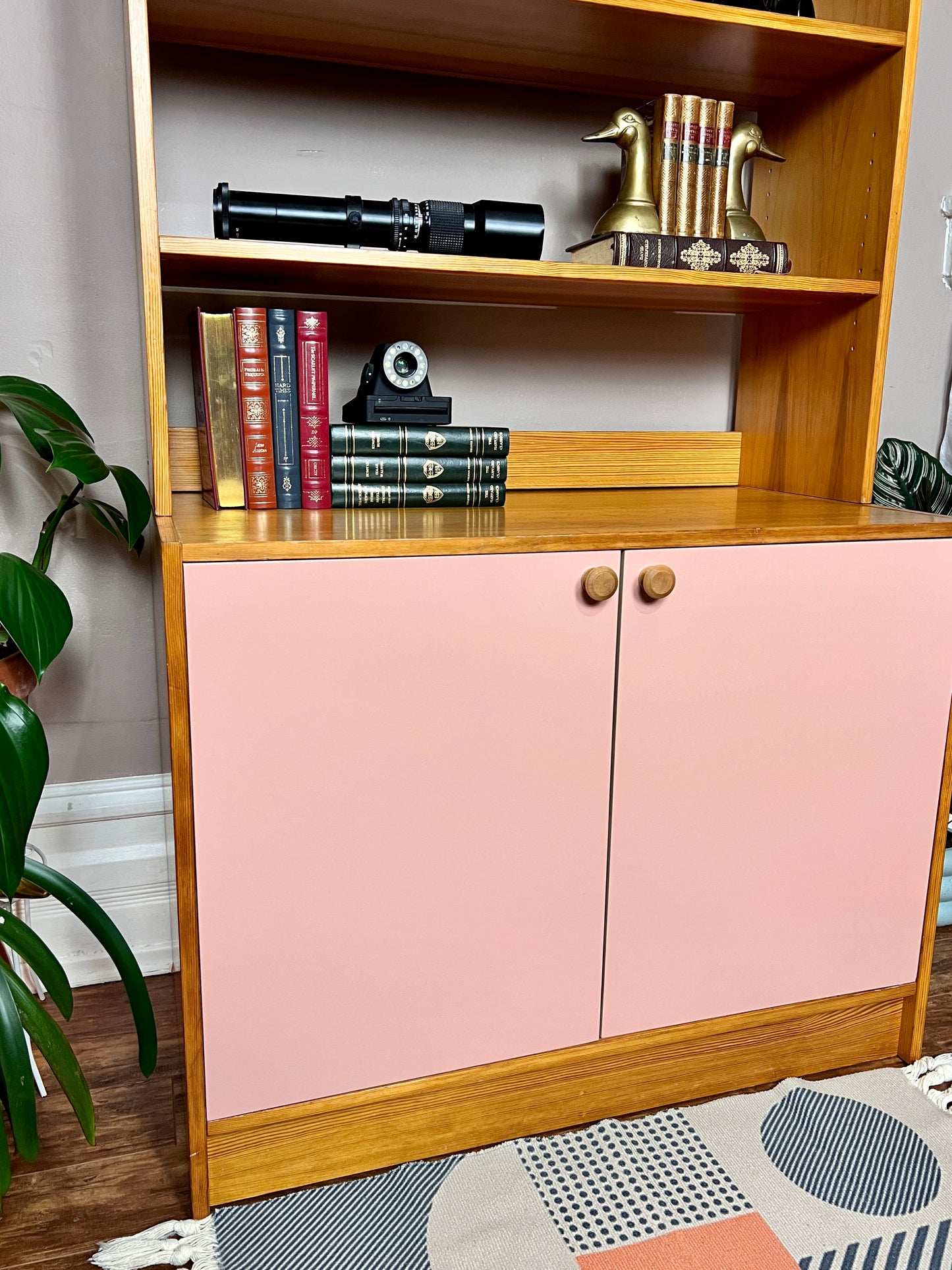 The Big Flamingo Cabinet