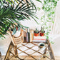 The Wicked Wicker Coffee Table