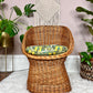 The Zoran Wicker Bucket Chairs