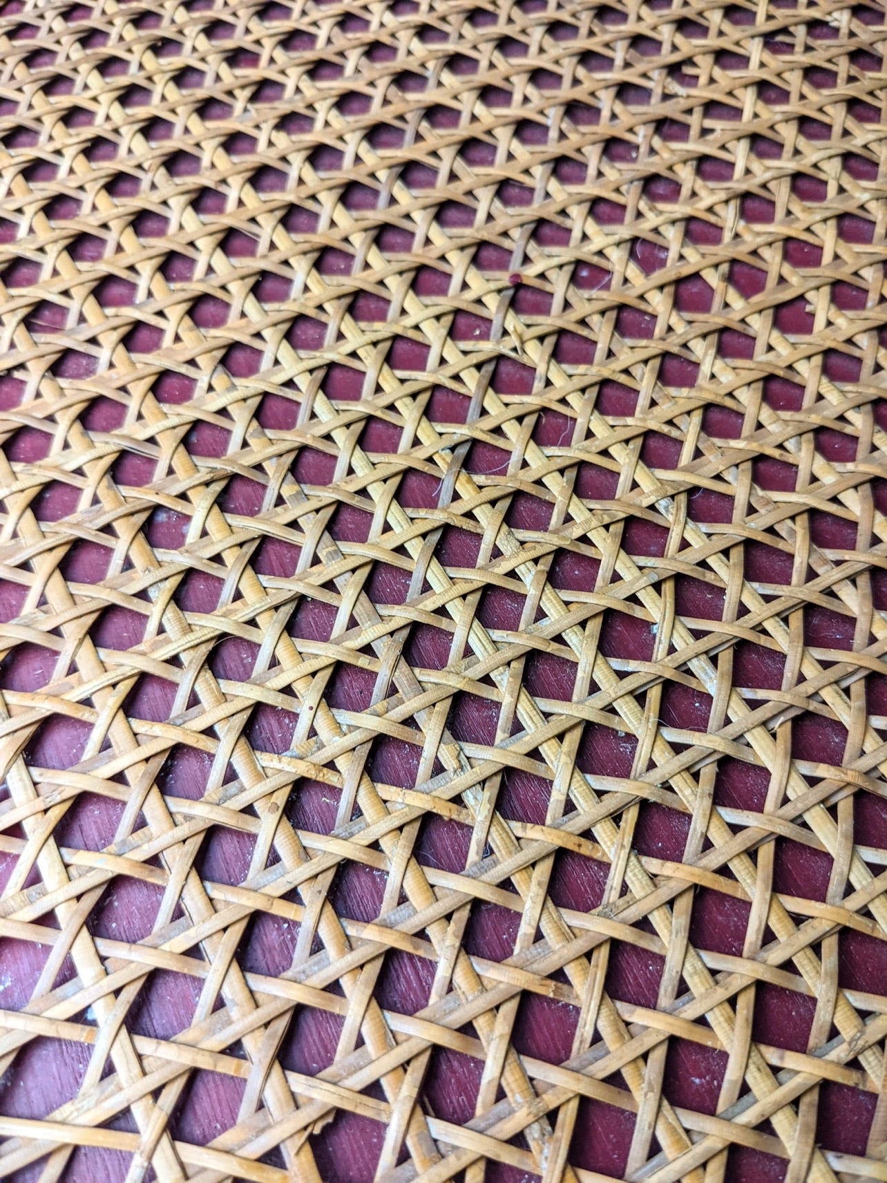 The Rouge Bentwood Chairs