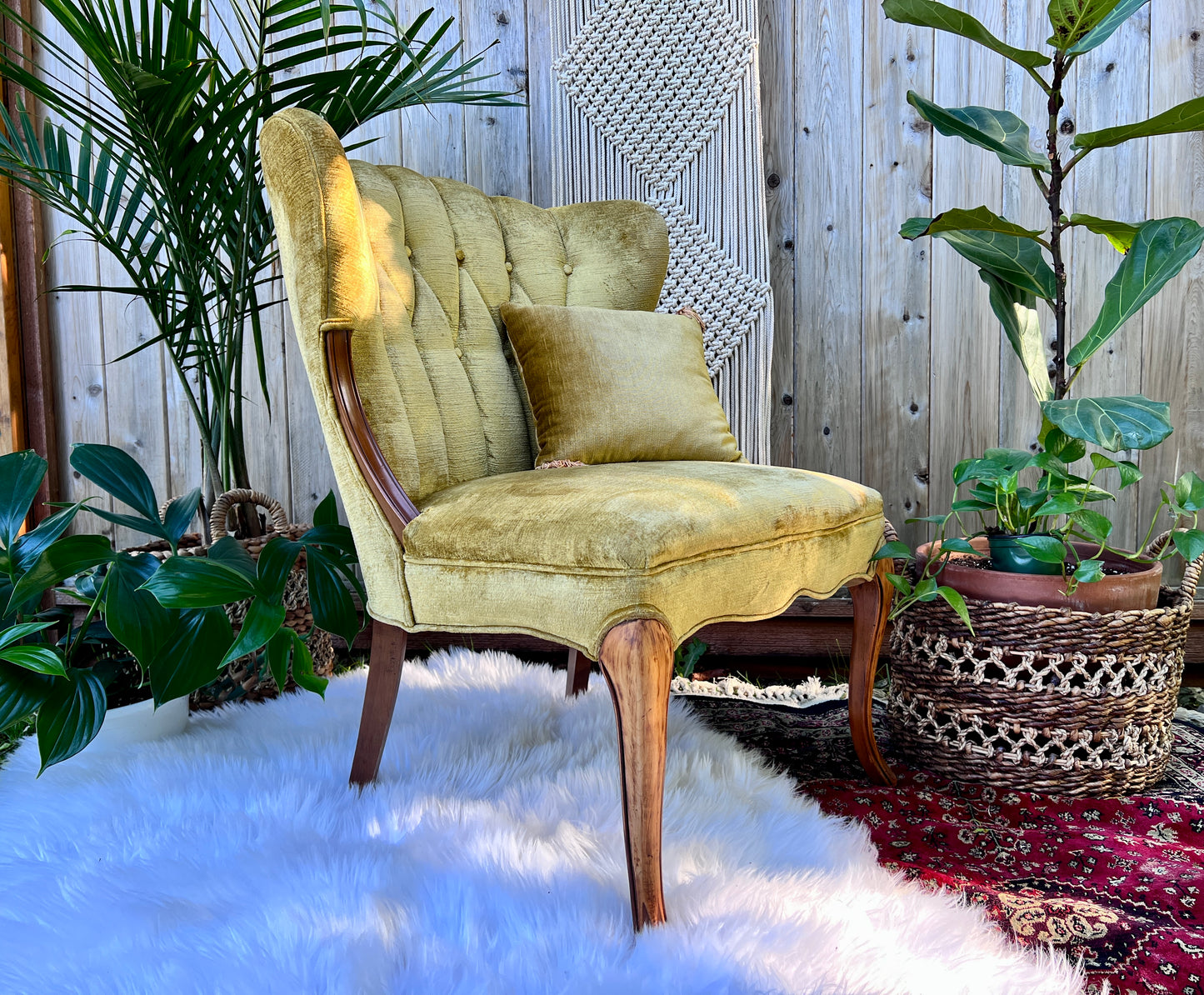 The Francine & Gilbert Chairs
