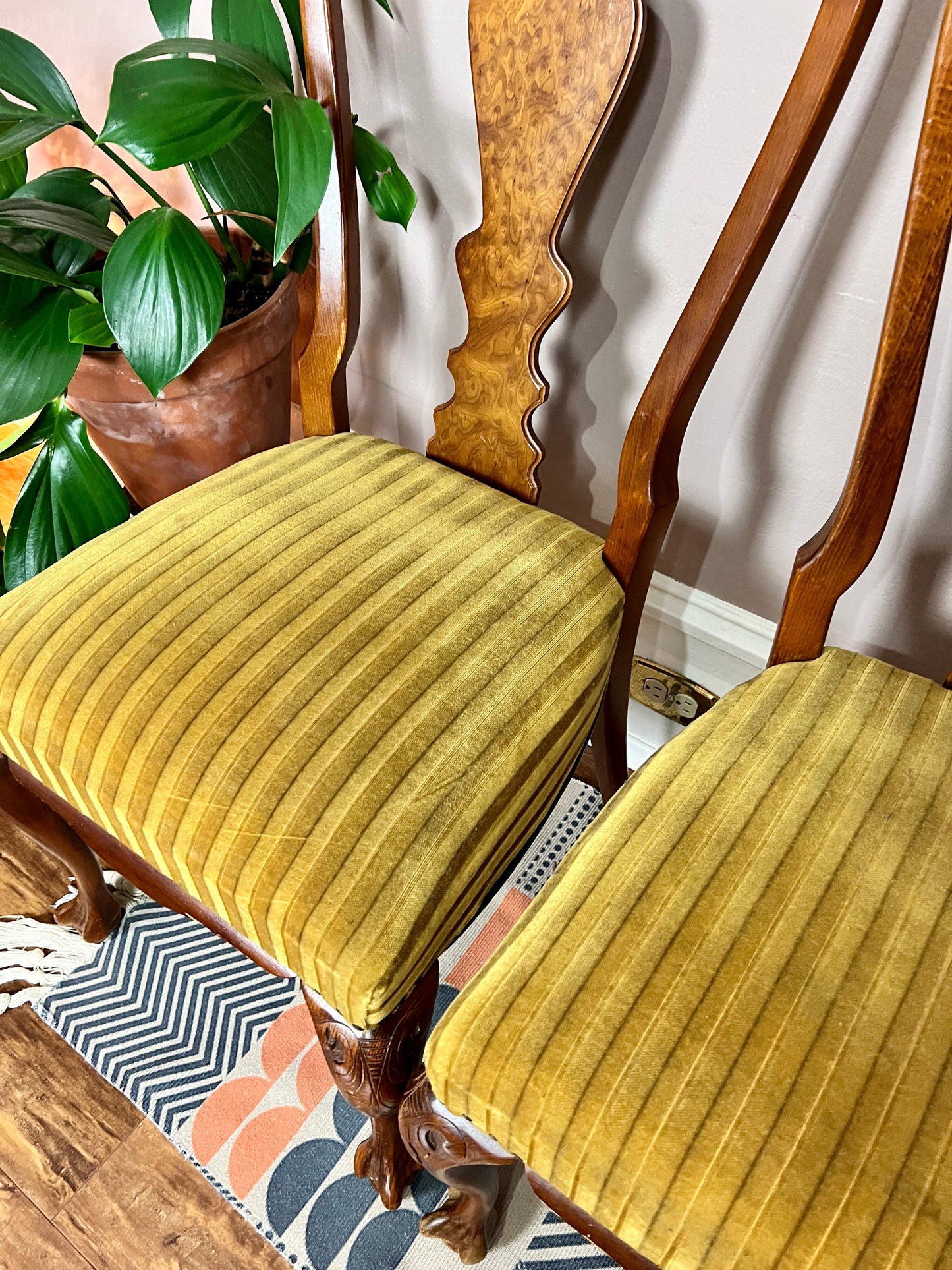 The Magnificent Mustard Chairs
