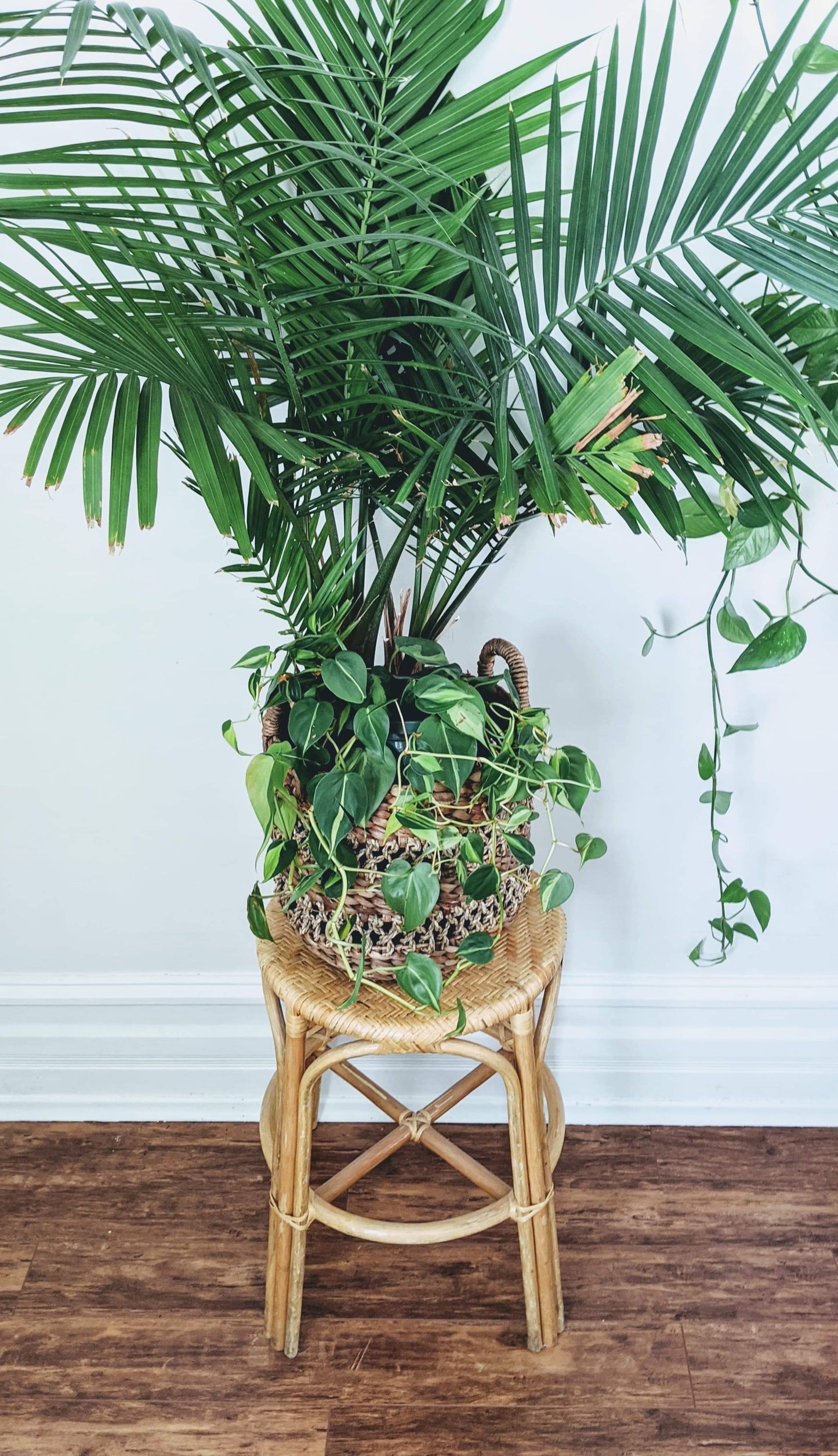 The Bombay Plant Stand