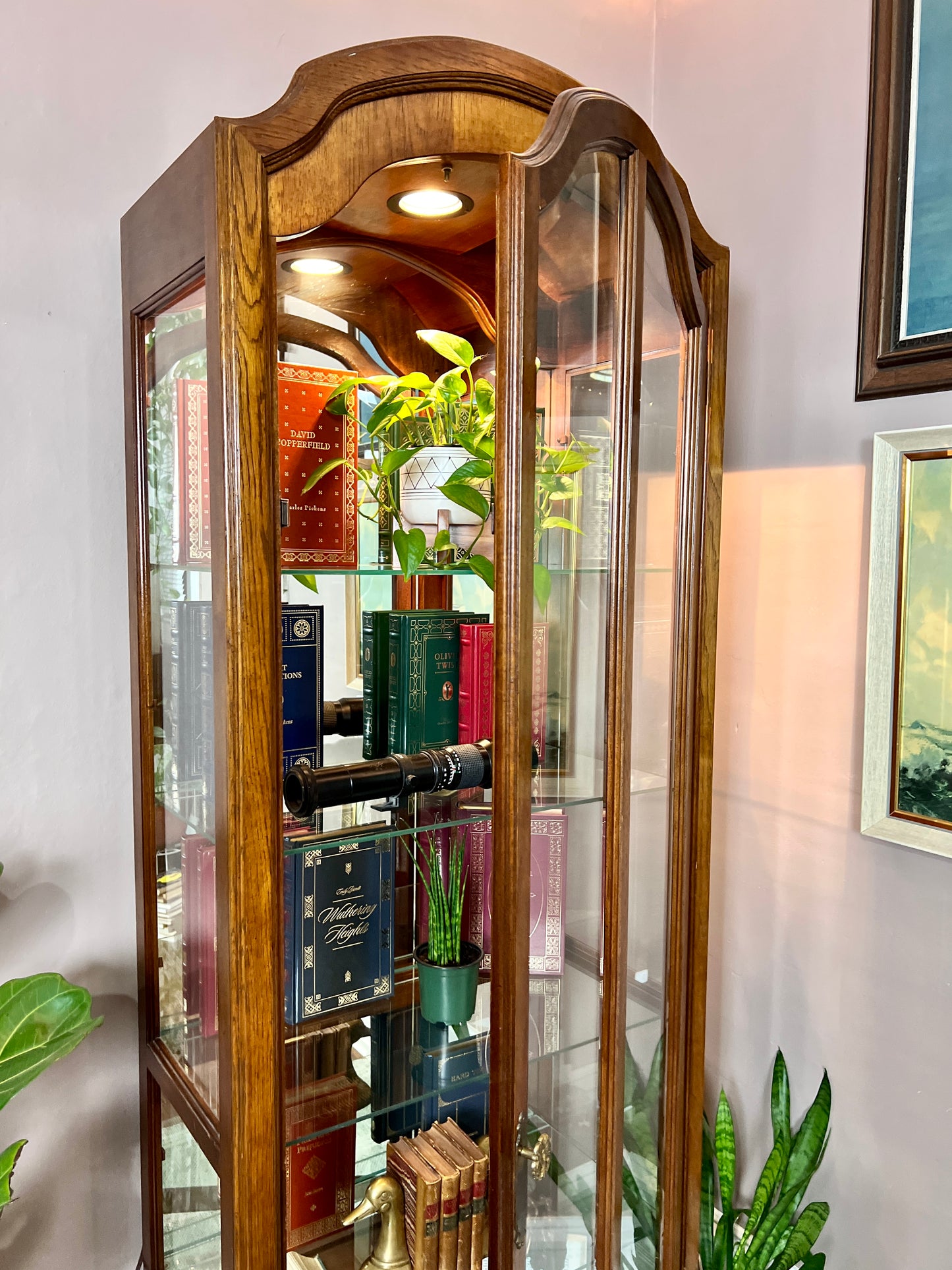 The Orwell Display Cabinet