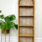 The Kroon Shelf