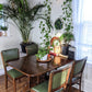 The Succulent Chairs