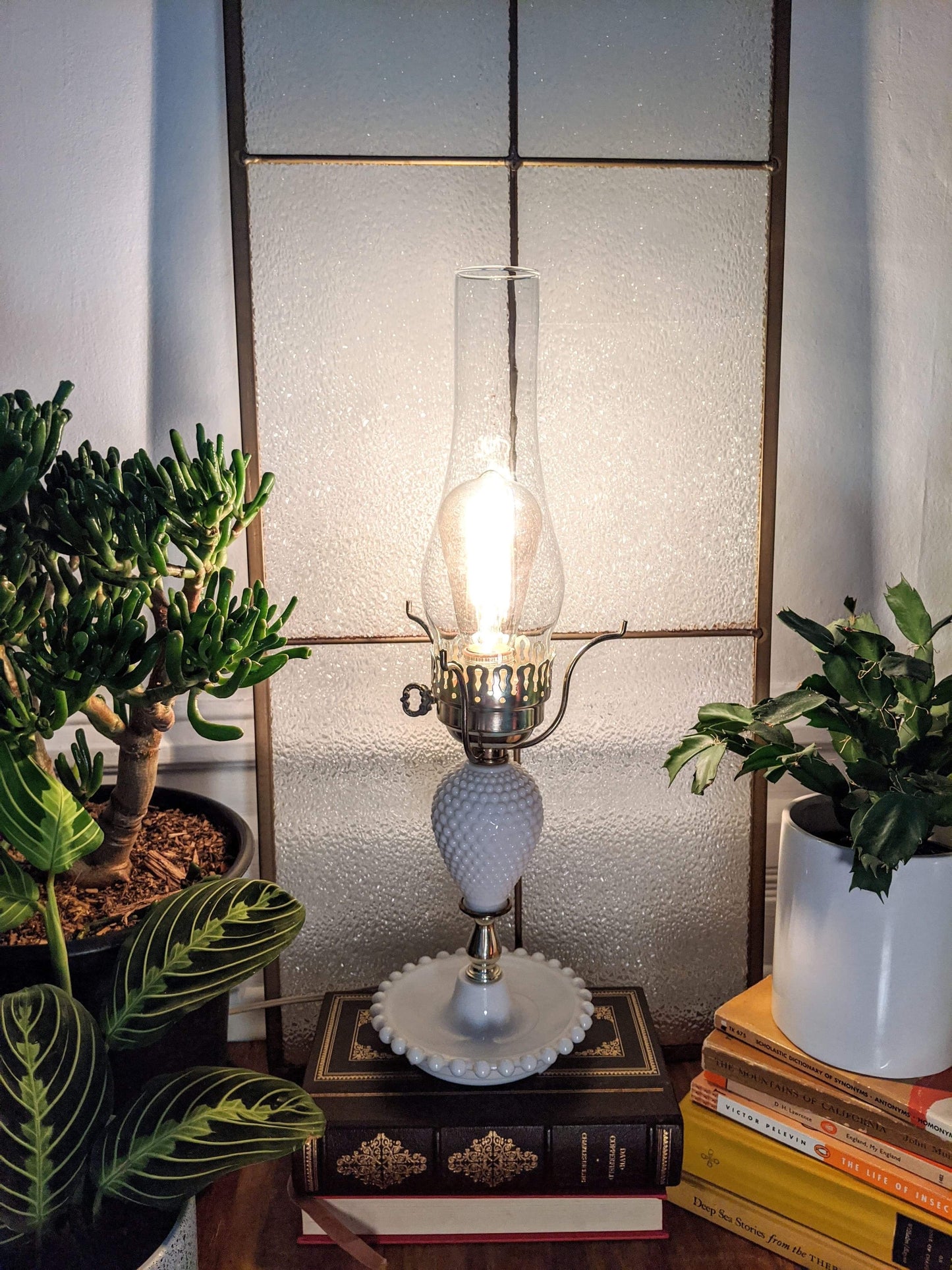 The Not My Problem Lamp