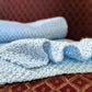 The Pale Blue Scarf
