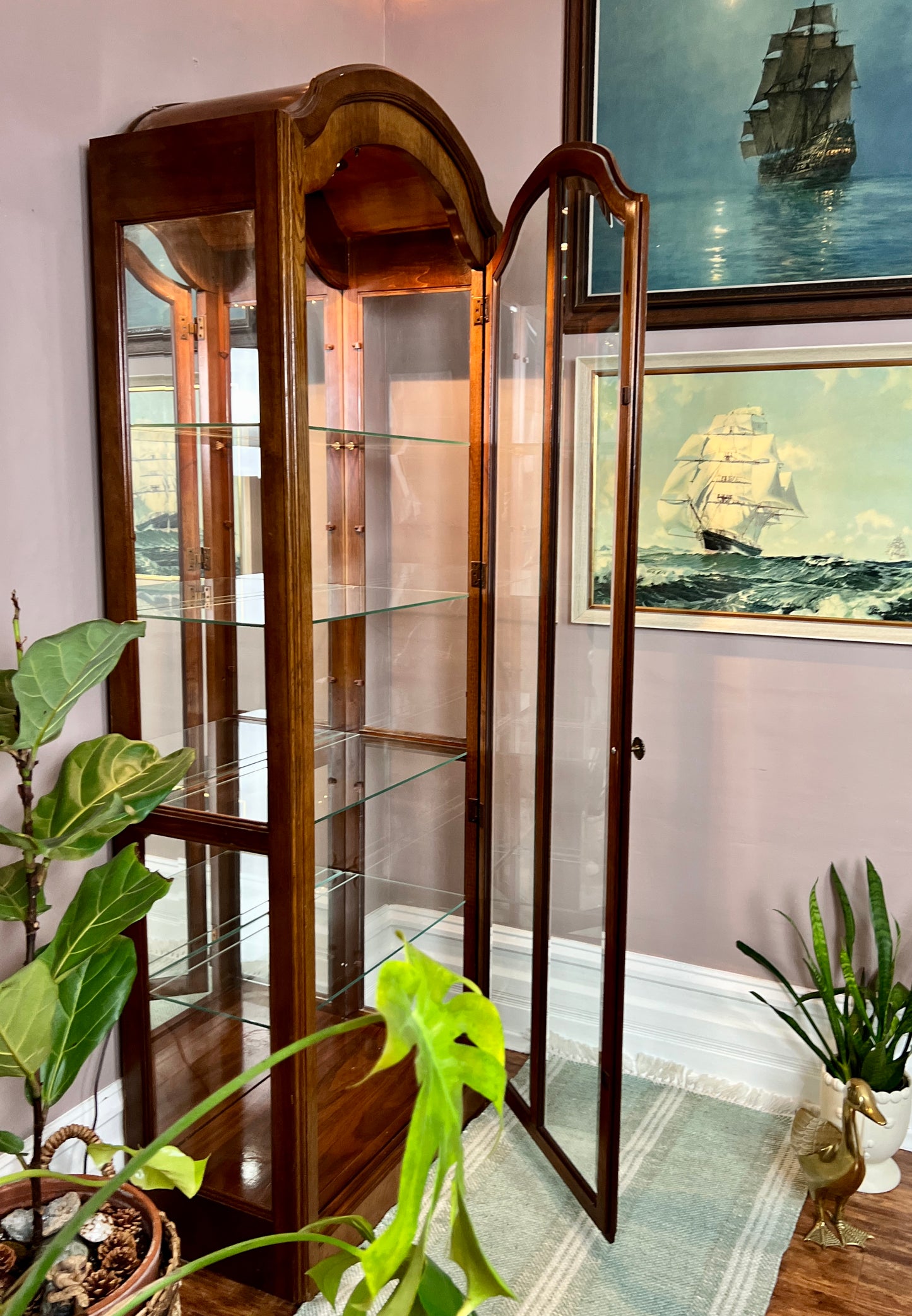 The Orwell Display Cabinet