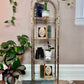 The Regency Brass Shelf