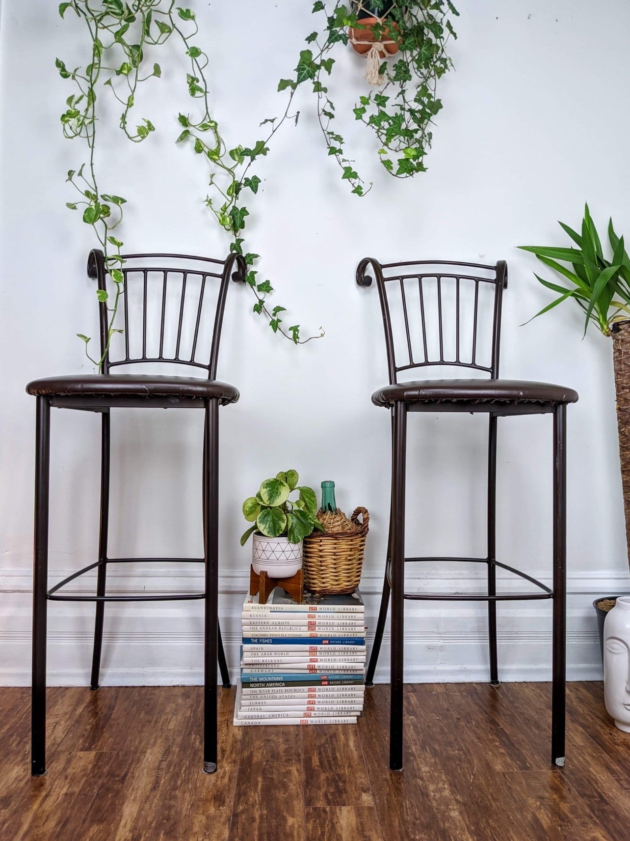 The Chocolate Pudding Stools