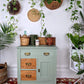 The Jungle Mist Cabinet