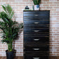 The Newport Dresser