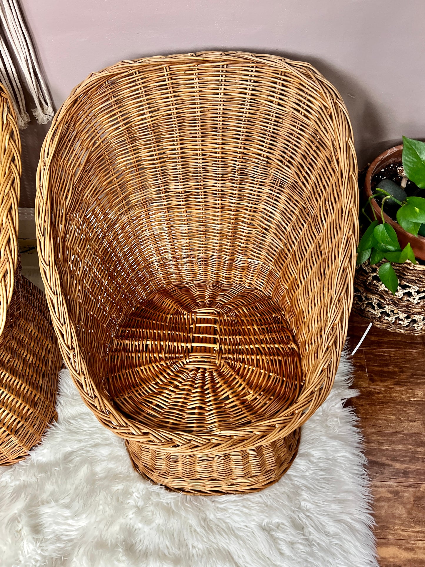The Zoran Wicker Bucket Chairs
