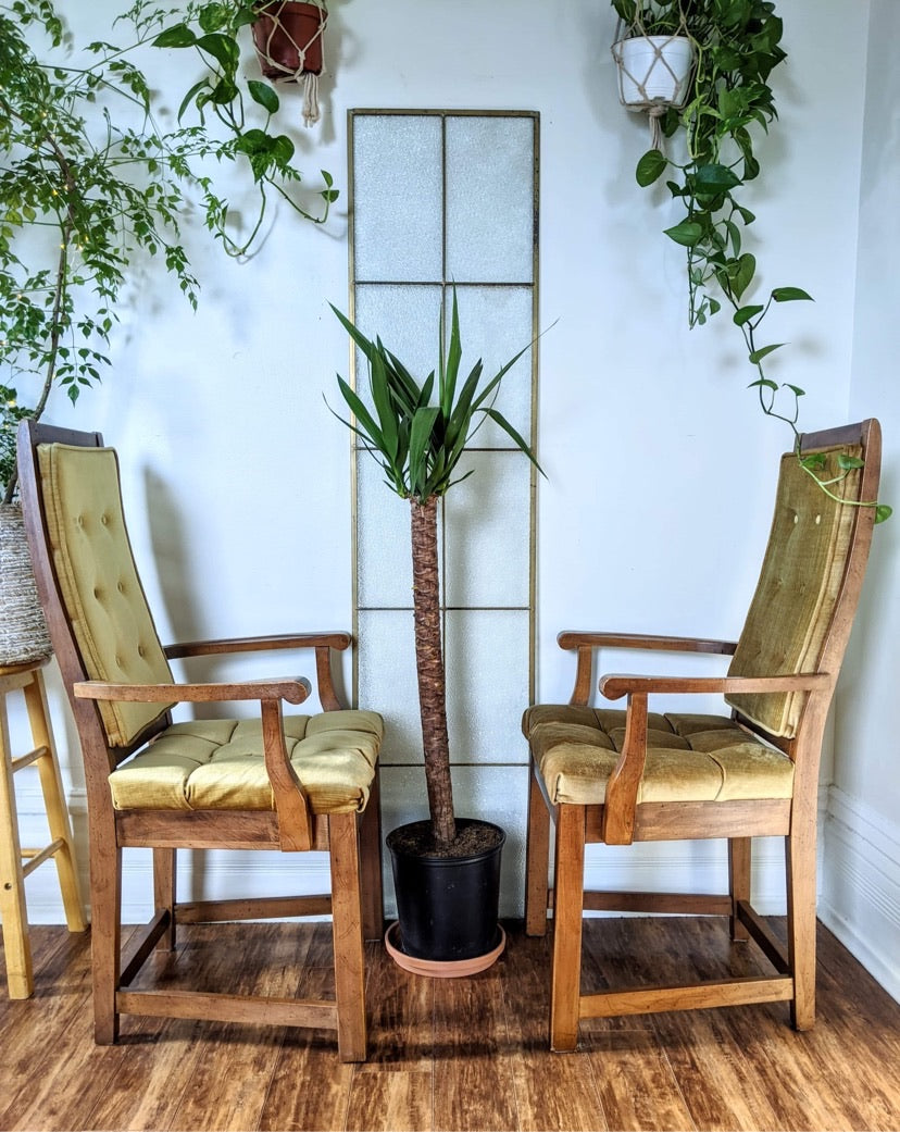 The Mod Squad Chairs