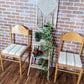 The Baltic Chairs
