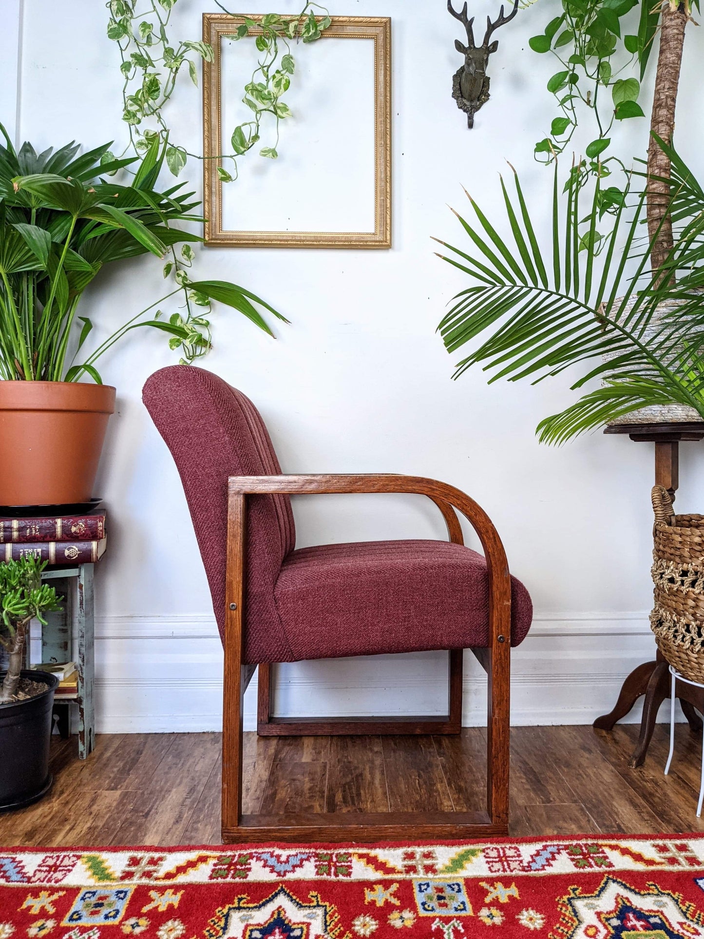 The Coral Tree Chairs