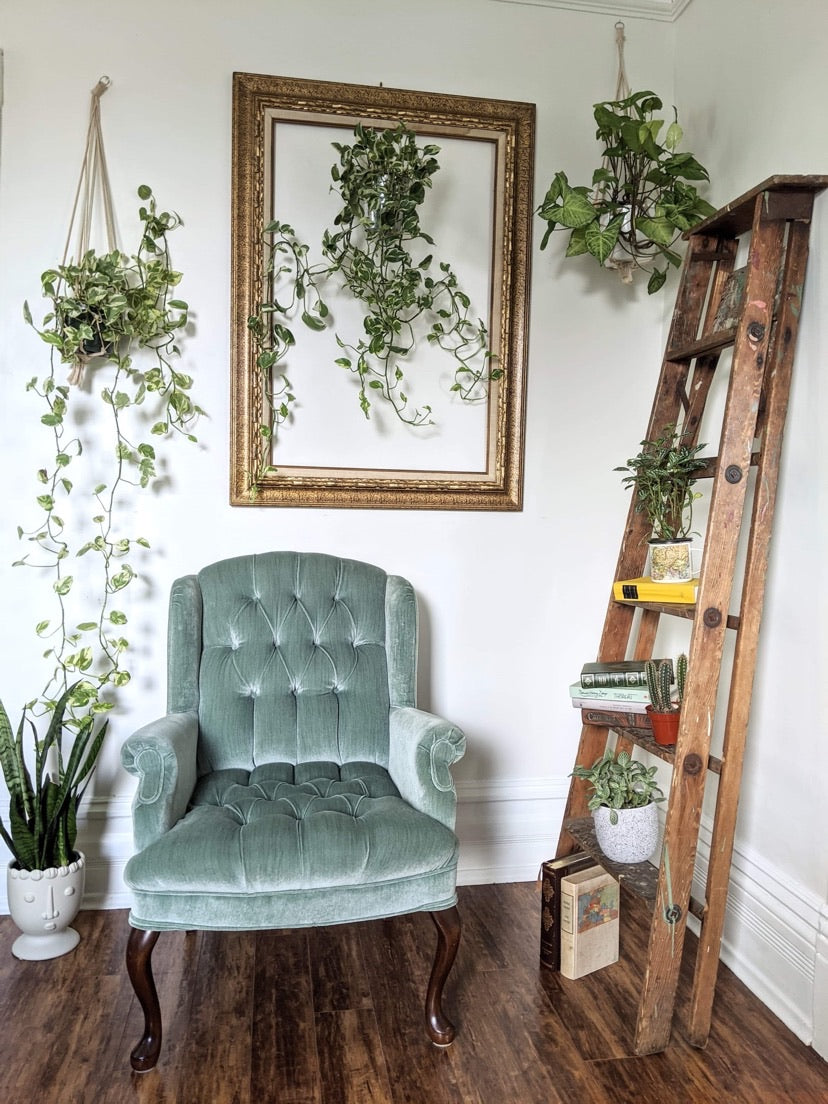 The Minty Fresh Chairs