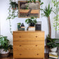 The Sandy Dunes Dresser