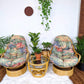 The Ravishing Rattan Set