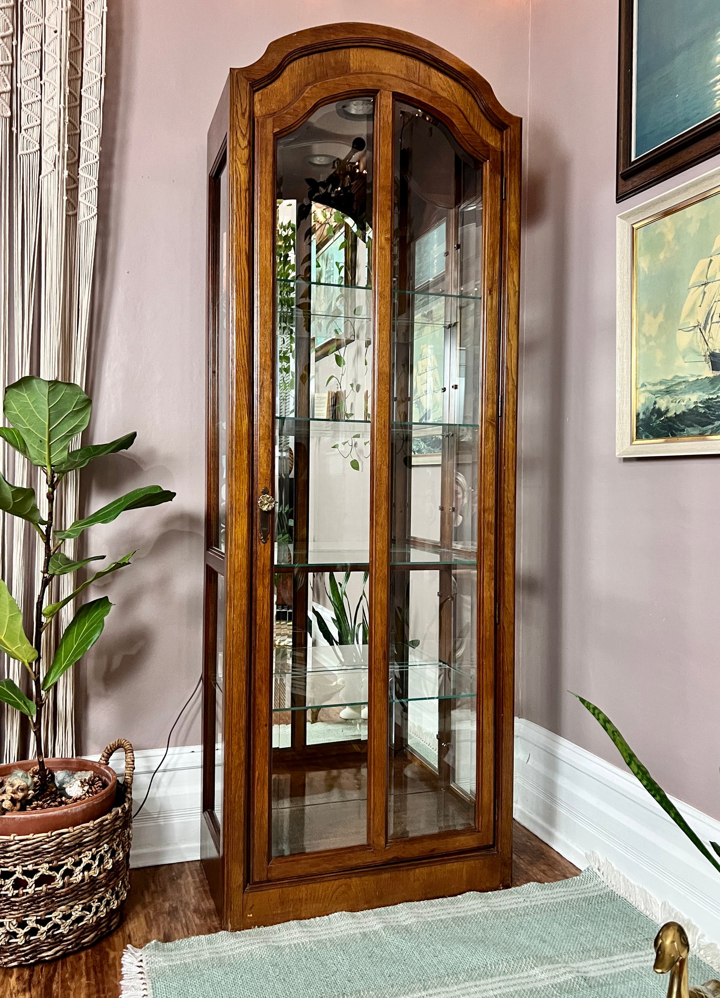 The Orwell Display Cabinet