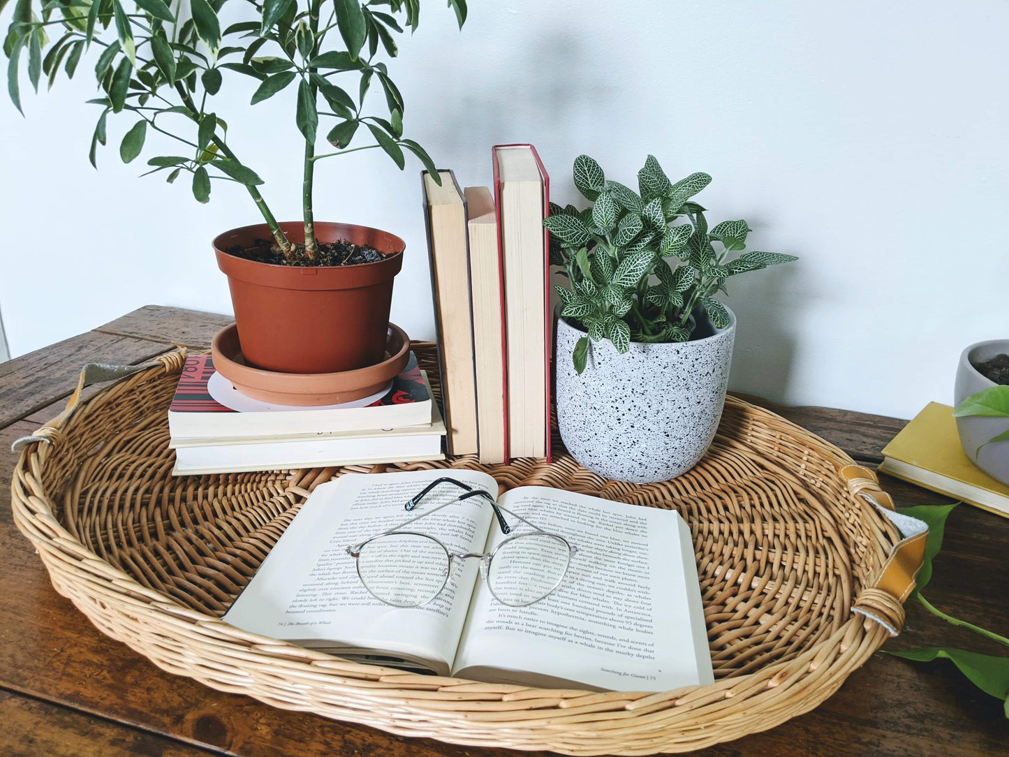 The Weston Wicker Tray