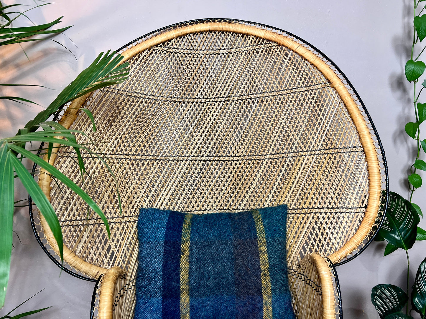 The Peacock Armchair