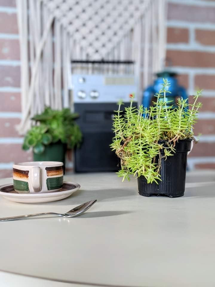 It’s A Round Retro Table!