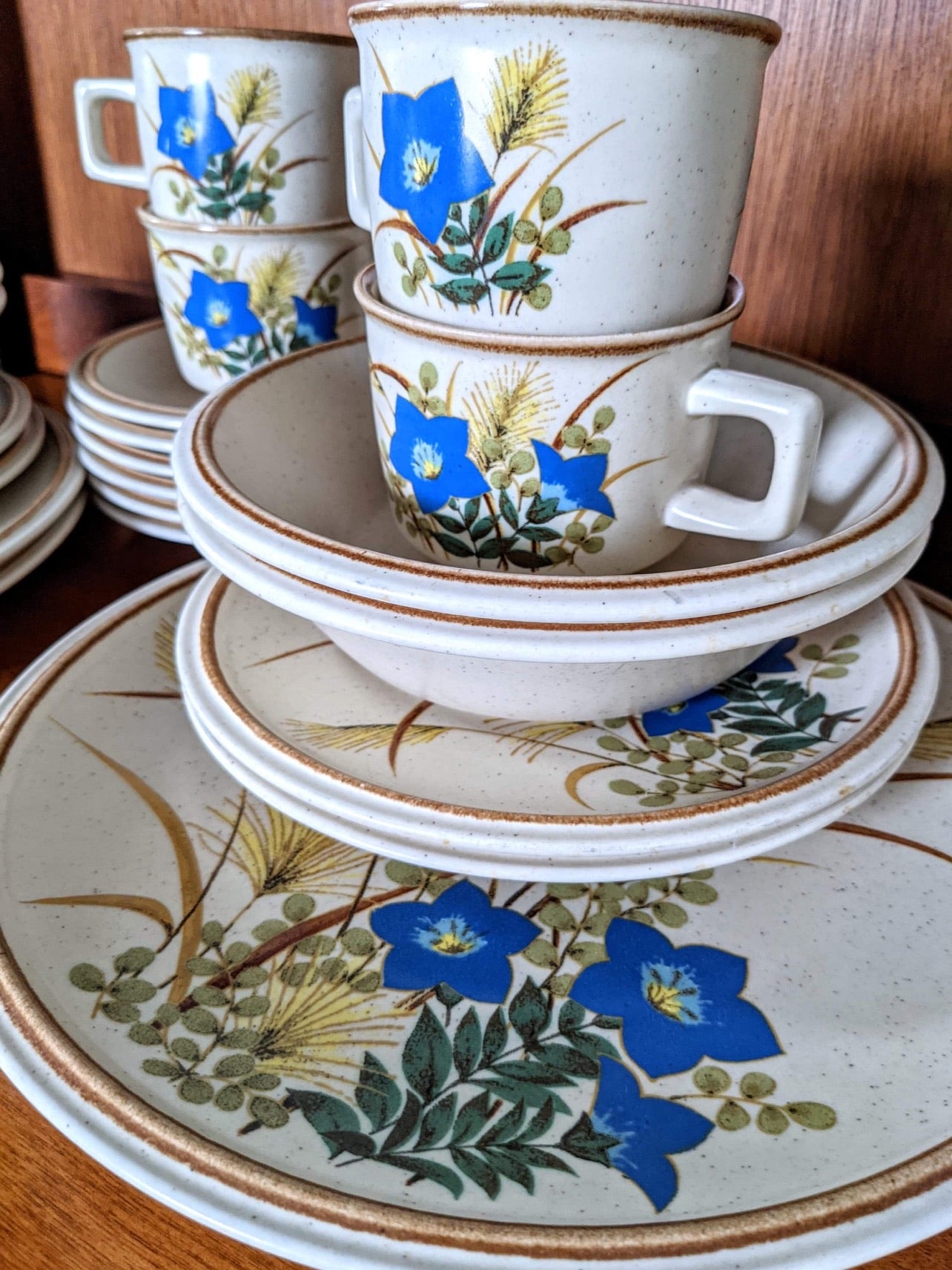 The Mikasa Susuki Stoneware Set