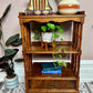 The Colombo Shelf