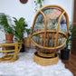 The Ravishing Rattan Set