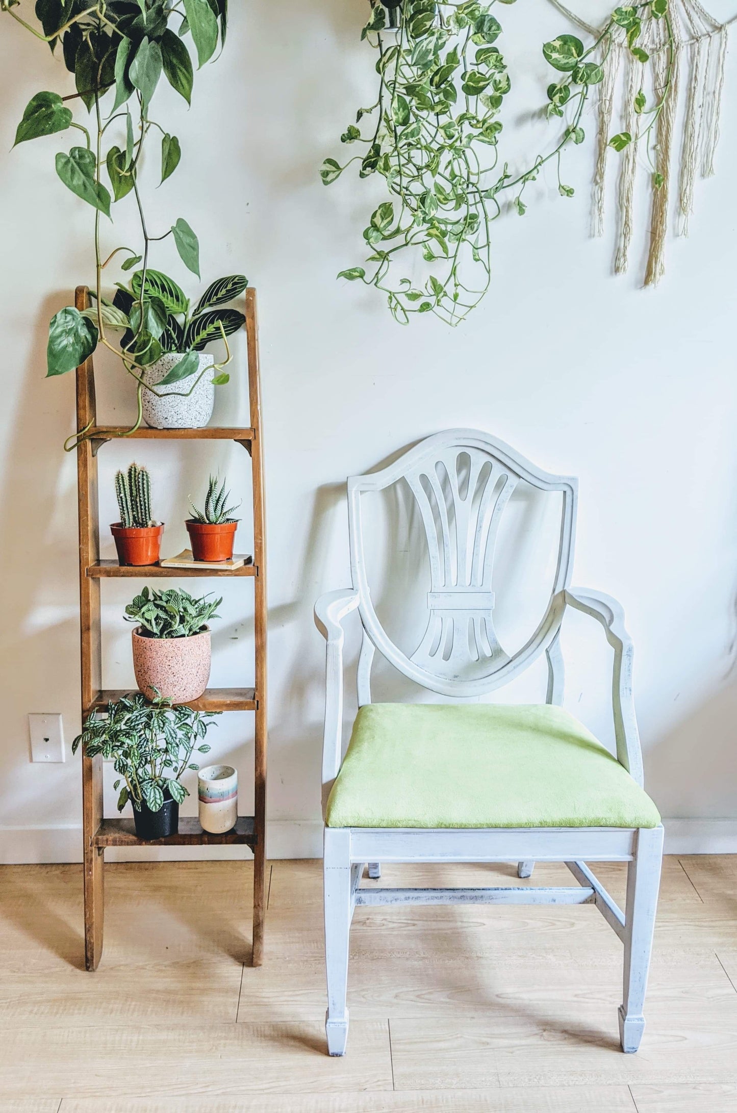 The Roman Ladder Shelf