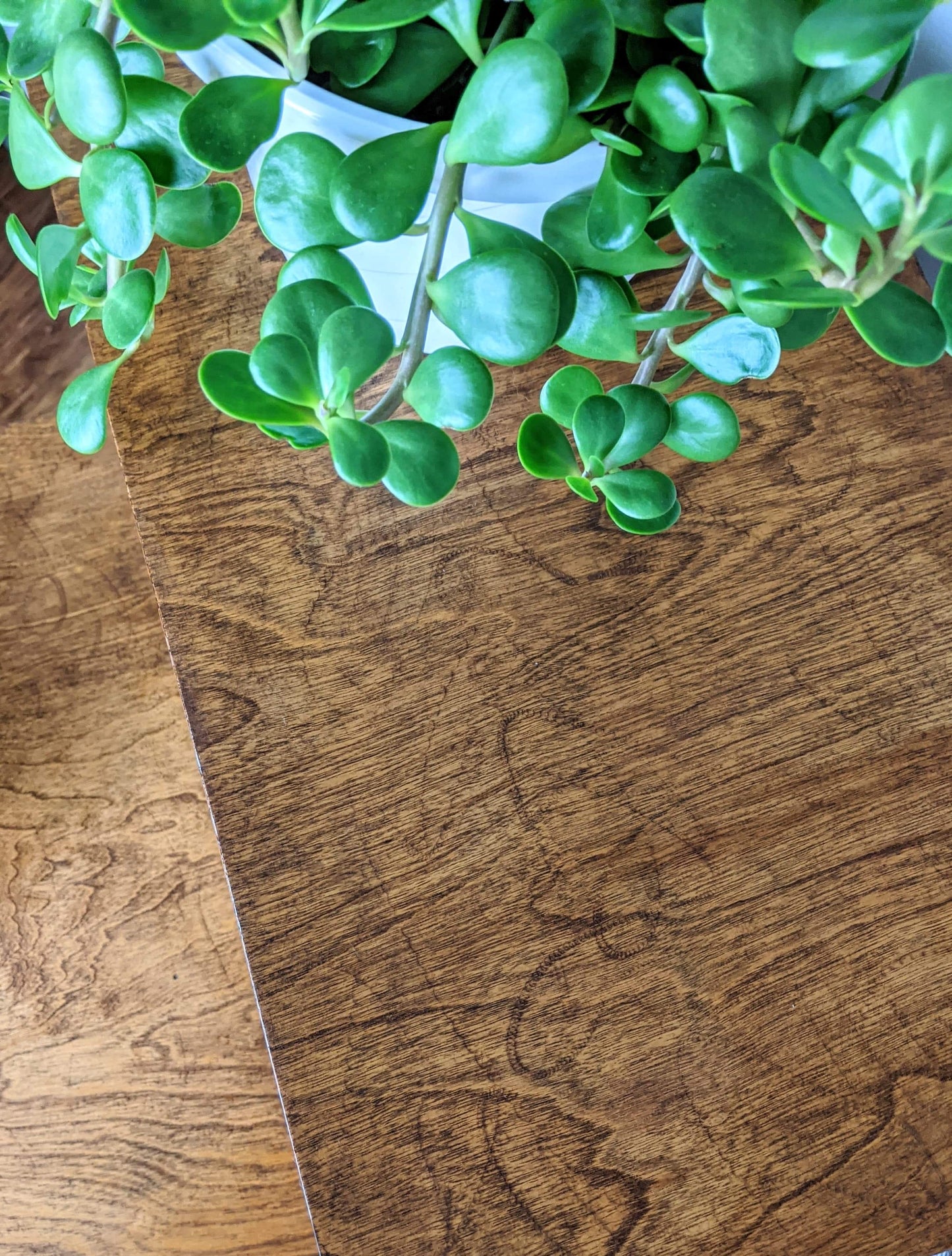 The Key West Coffee Table