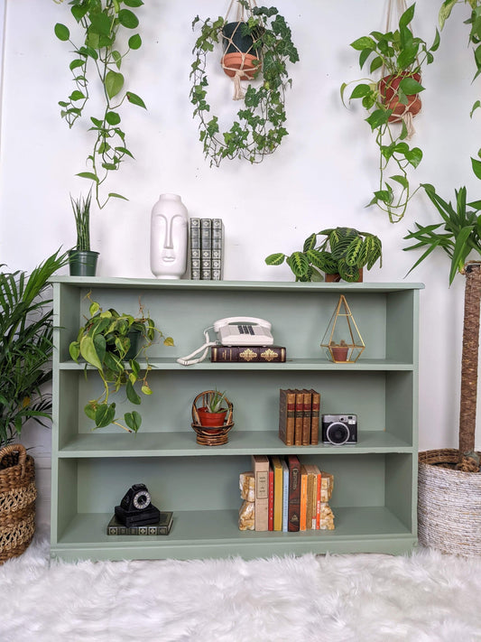 The Spanish Moss Shelf